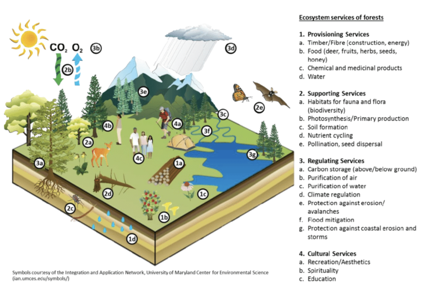 Tree.ly Recognizing the value of forest ecosystem services Tree.ly