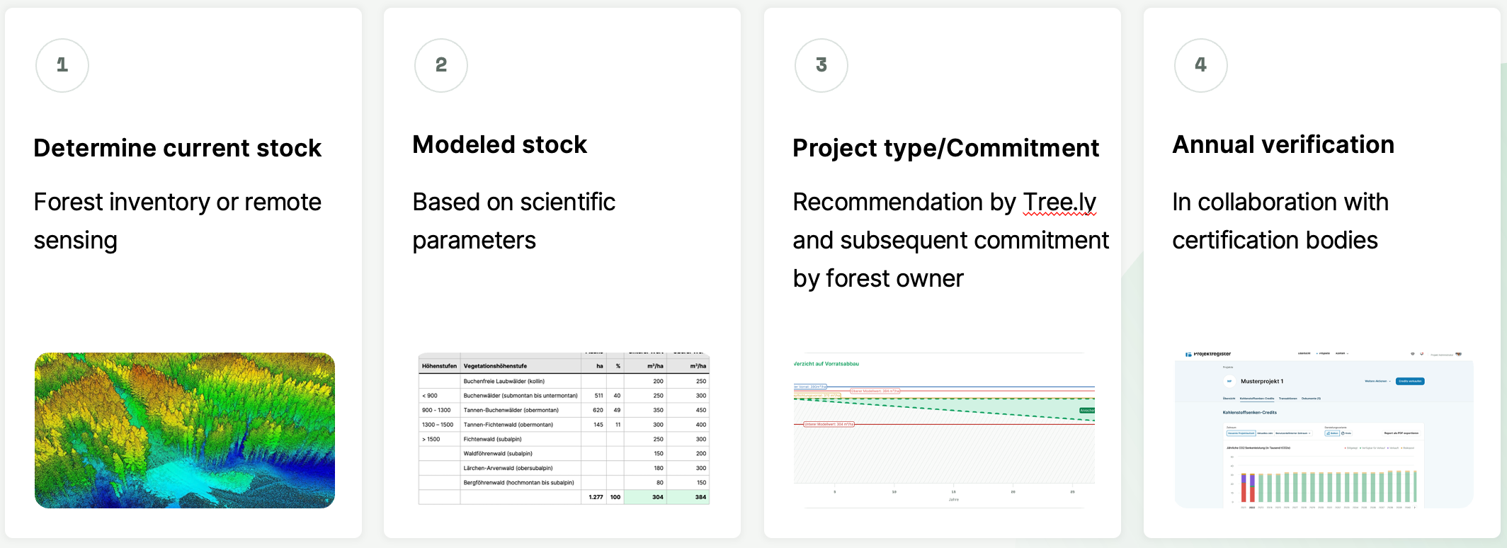 treely project timeline.png